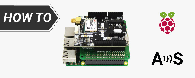 copertura per Raspberry Pi