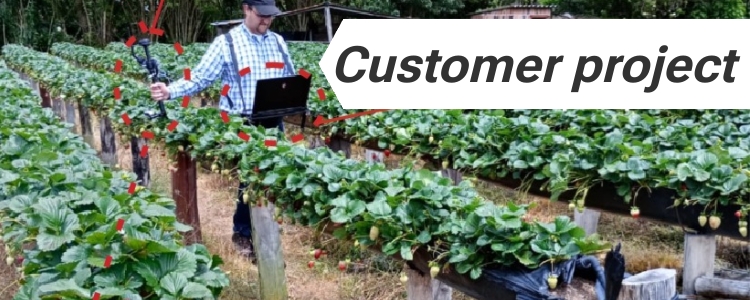 Progetto del cliente: mappatura della resa delle fragole con fotocamera e RTK